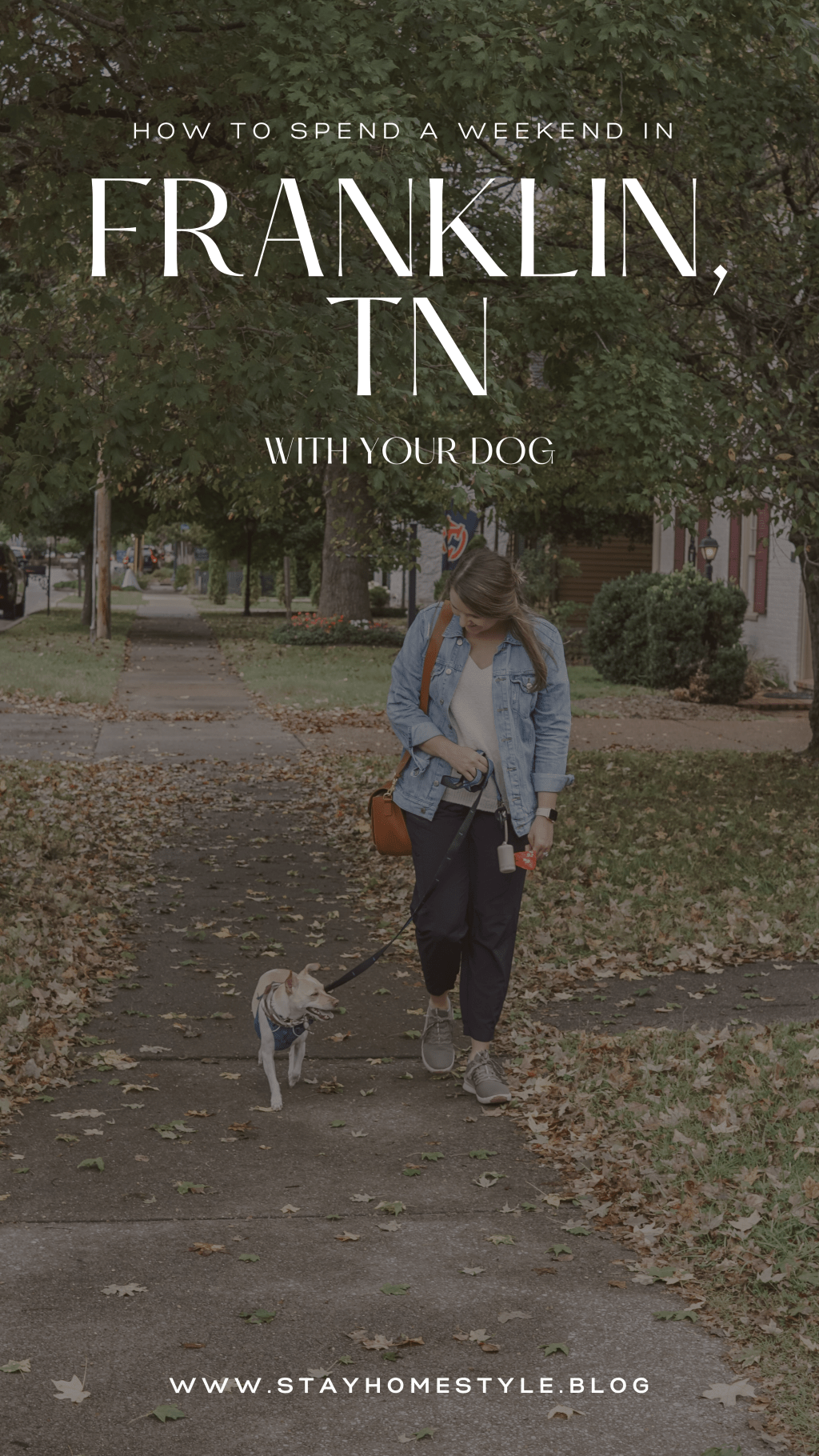 HOW TO SPEND A WEEKEND IN FRANKLIN, TN WITH YOUR&nbsp;DOG